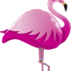 Pink Flamingo