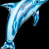 Dolphin