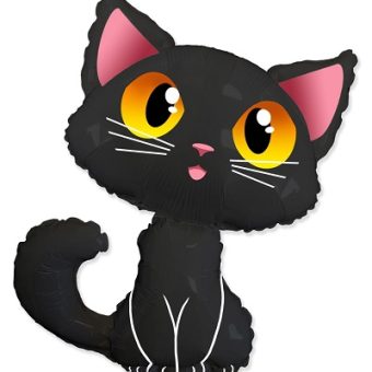 Black Cat Halloween