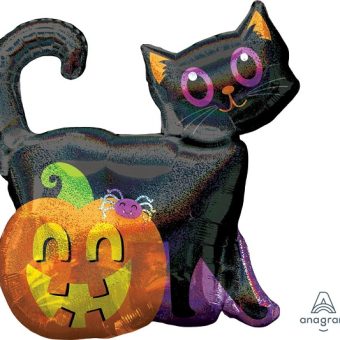 Cat pumpkin Halloween