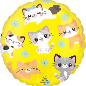 #116 Kitty Cat